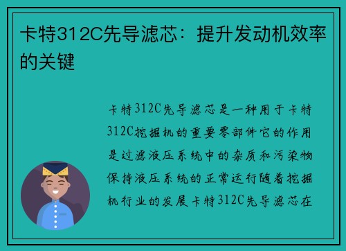 卡特312C先导滤芯：提升发动机效率的关键