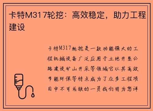 卡特M317轮挖：高效稳定，助力工程建设